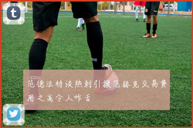 范德法特谈热刺引援范赫克交易费用之高令人咋舌