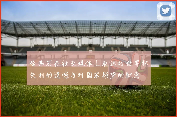 哈弗茨在社交媒体上表达对世界杯失利的遗憾与对国家期望的歉意